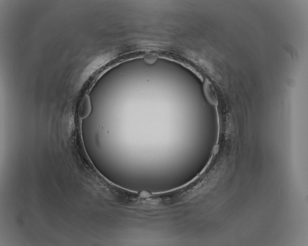 X0000113761261200909231157