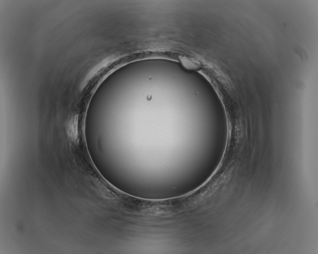 X0000113761262200909231157