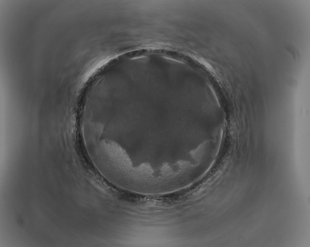 X0000113761263200909231157