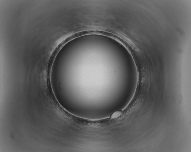 X0000113761264200909231157