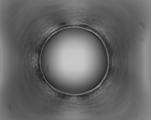 X0000113761265200909231157