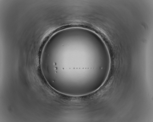 X0000113761267200909231157