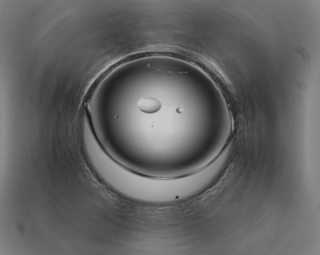X0000113761268200909231157