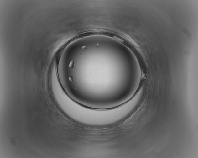 X0000113761269200909231157