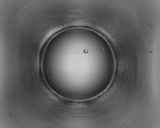 X0000113761270200909231157