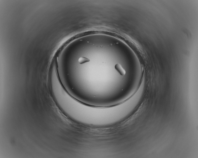 X0000113761272200909231157