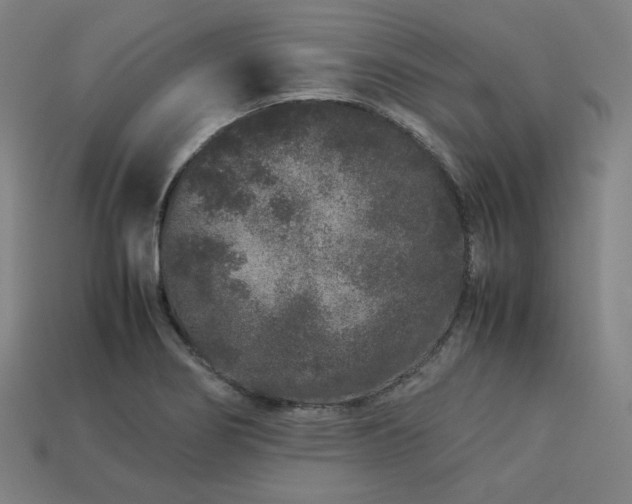 X0000113761274200909231157
