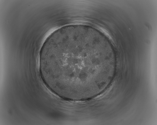 X0000113761275200909231157