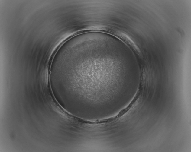 X0000113761276200909231157