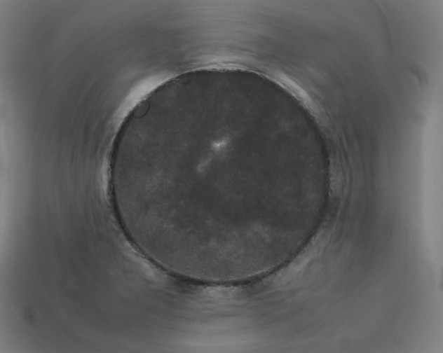 X0000113761277200909231157