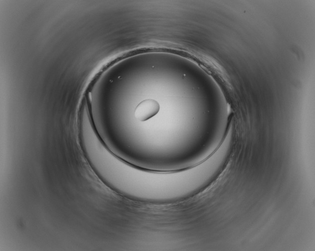 X0000113761280200909231157