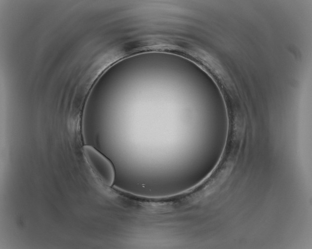 X0000113761281200909231157