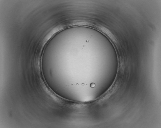 X0000113761282200909231157