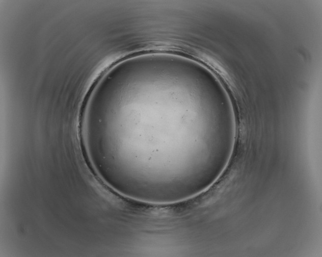 X0000113761283200909231157