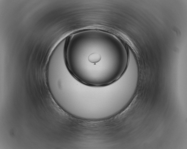 X0000113761284200909231157