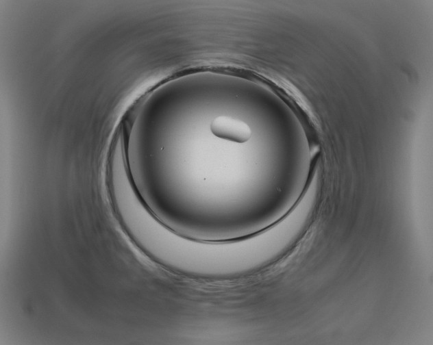 X0000113761285200909231157