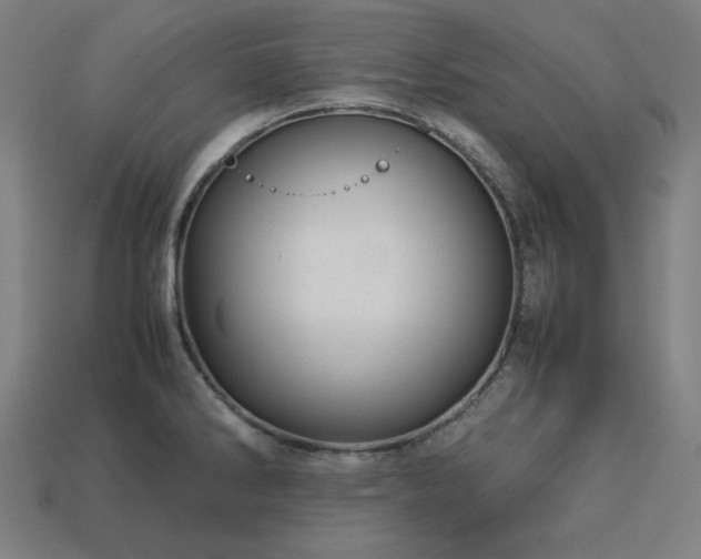 X0000113761286200909231157