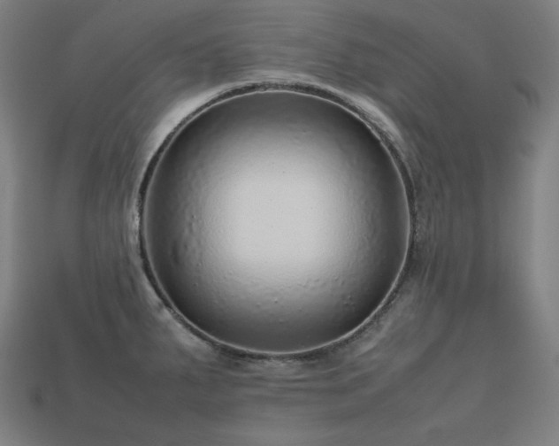 X0000113761287200909231156