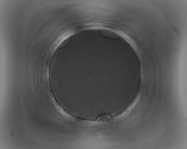 X0000113761289200909231156