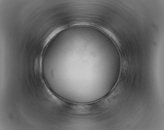 X0000113761290200909231156