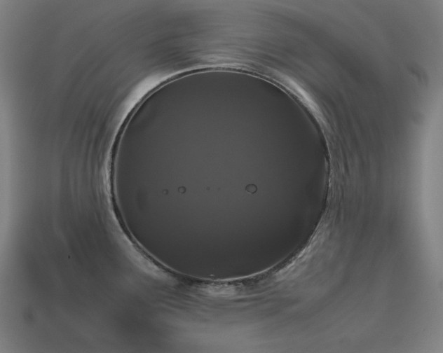 X0000113761291200909231156