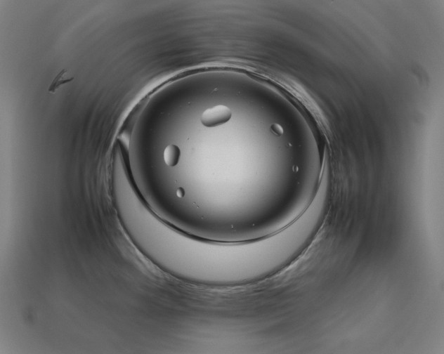 X0000113761292200909231156