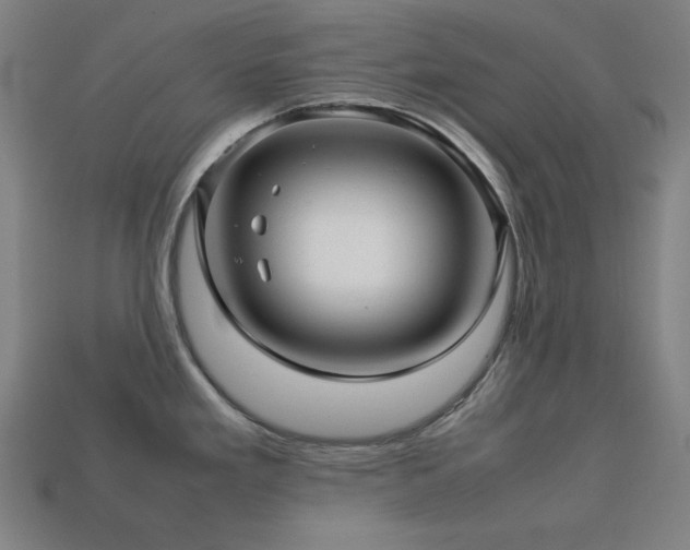 X0000113761293200909231156
