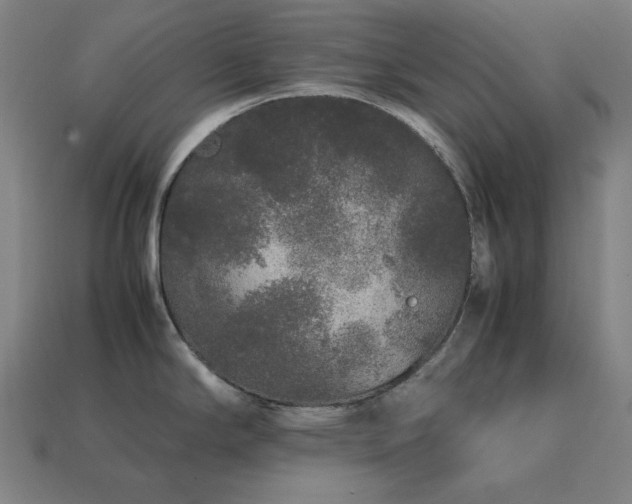 X0000113761294200909231156