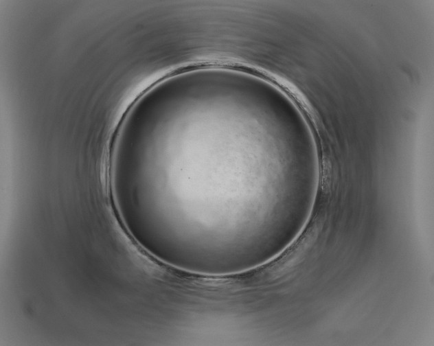 X0000113761295200909231156