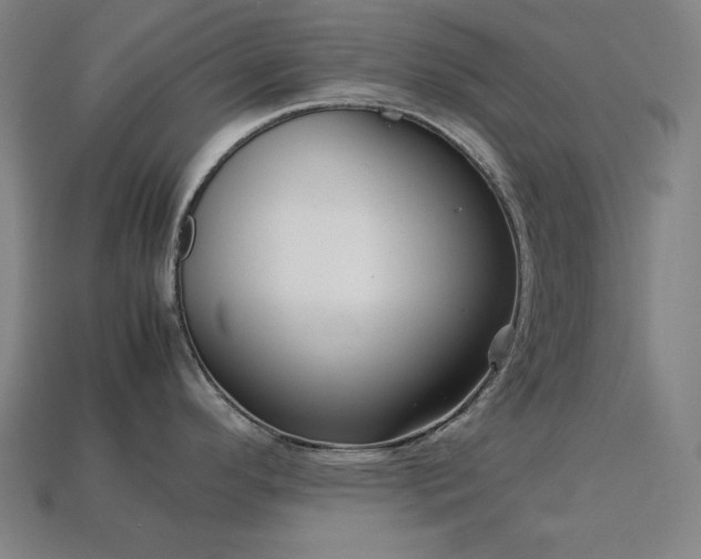 X0000113761296200909231156