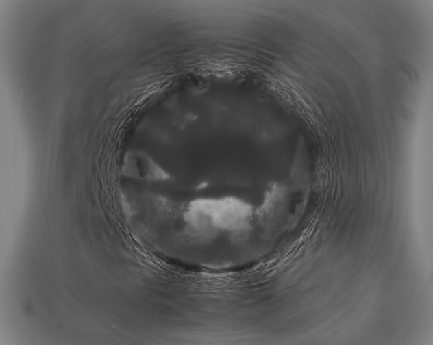 X0000113761297200909231156