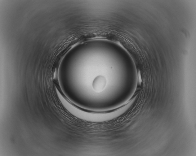 X0000113761298200909231156