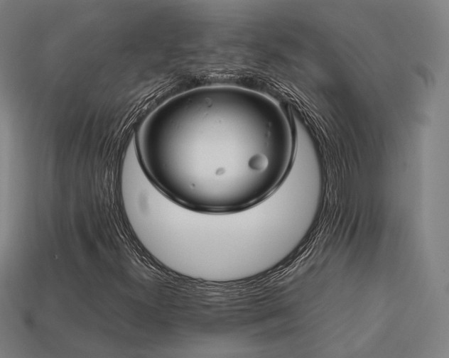 X0000113761300200909231156