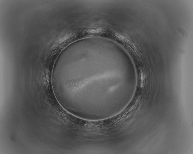 X0000113761301200909231156
