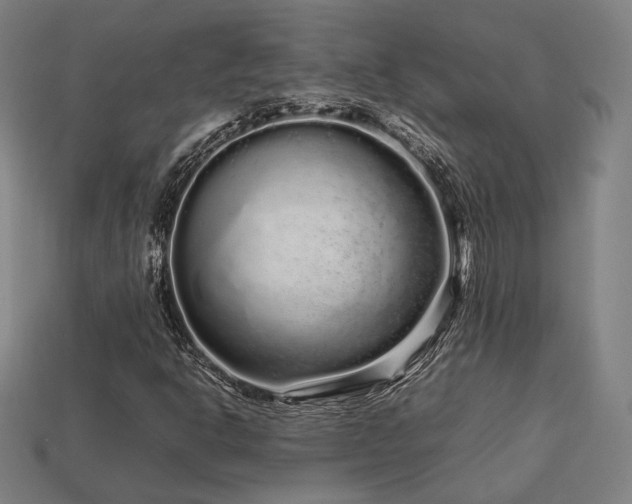 X0000113761302200909231156
