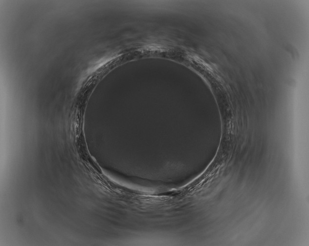 X0000113761303200909231156