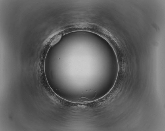 X0000113761304200909231156