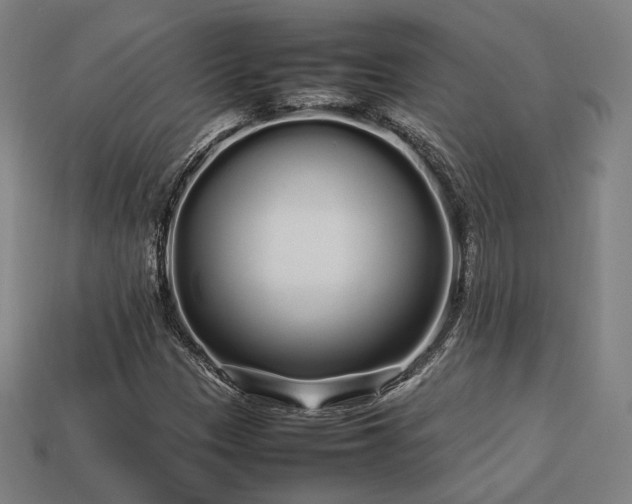 X0000113761305200909231156