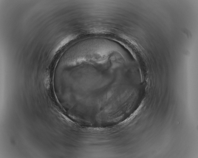 X0000113761306200909231156