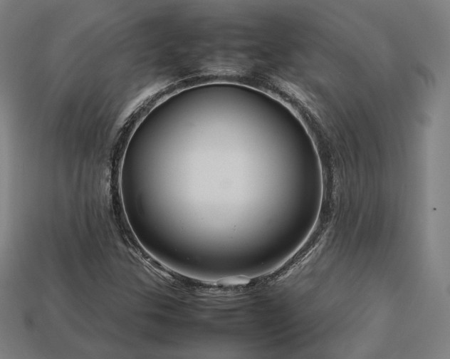 X0000113761307200909231156