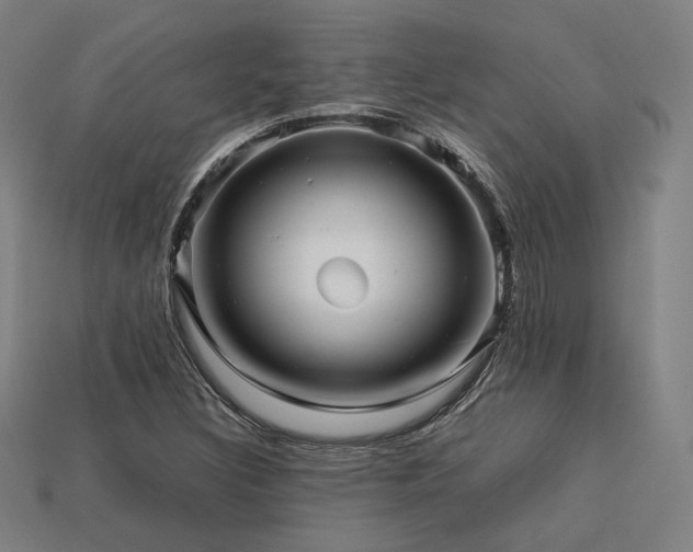 X0000113761308200909231156
