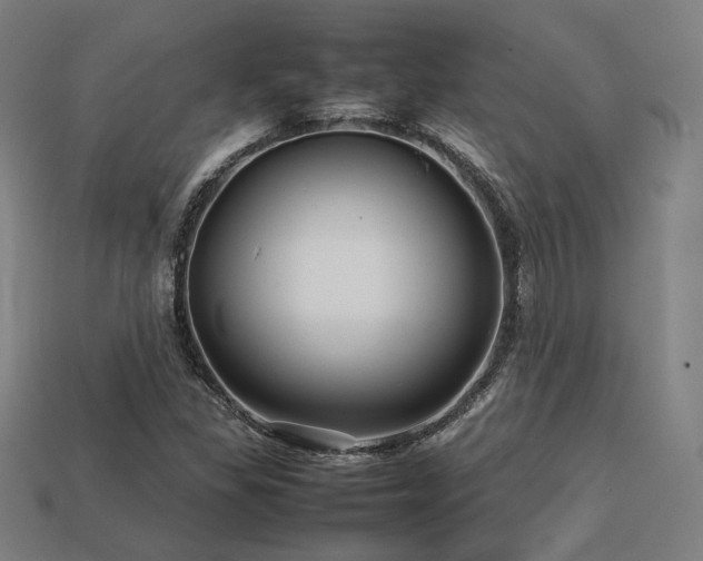 X0000113761309200909231156