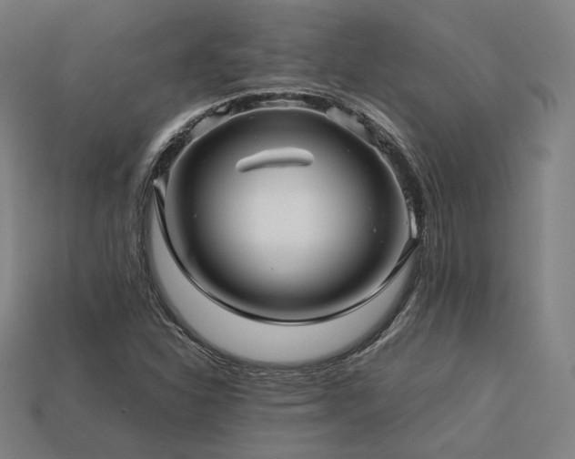 X0000113761310200909231156