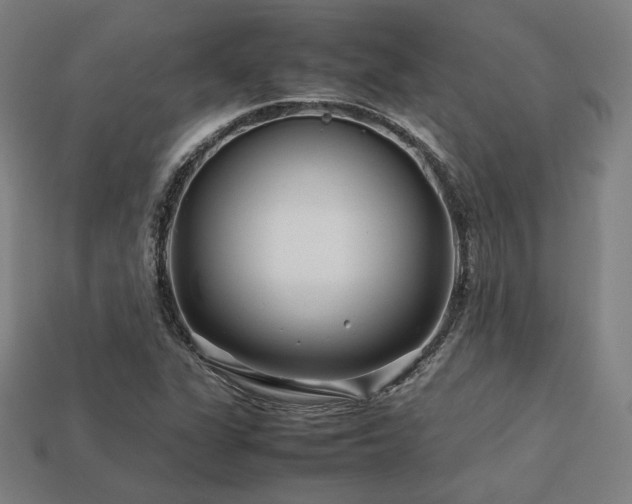 X0000113761311200909231156