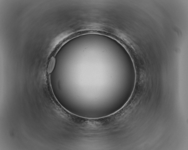 X0000113761312200909231156