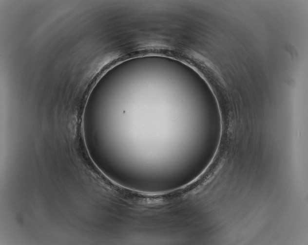X0000113761313200909231156