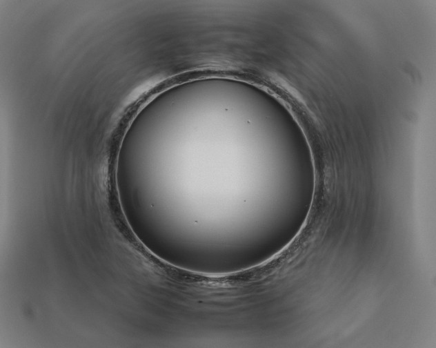 X0000113761315200909231156