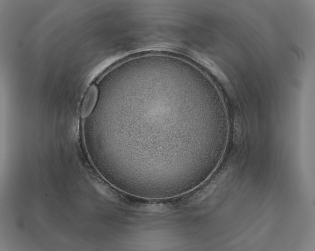 X0000113761316200909231156