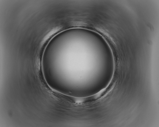 X0000113761317200909231156