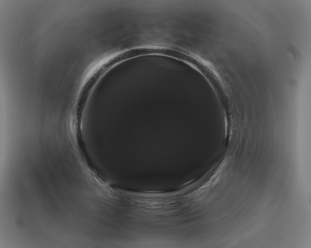 X0000113761319200909231156